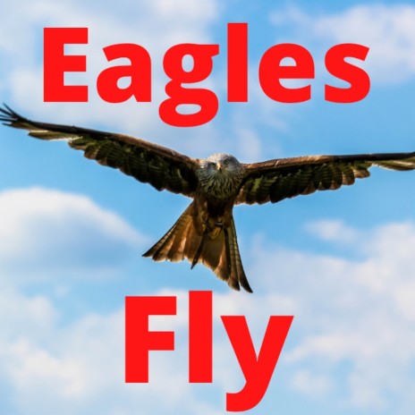 Eagles Fly | Boomplay Music