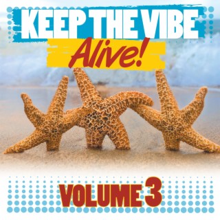 Keep The Vibe Alive, Vol. 3