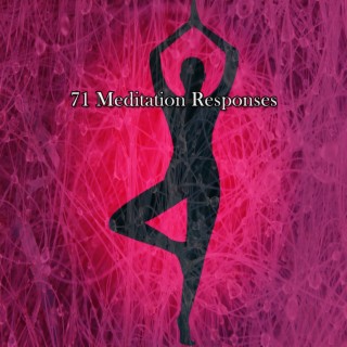 71 Meditation Responses