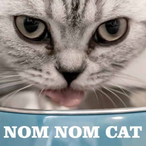 Nom Nom Cat | Boomplay Music