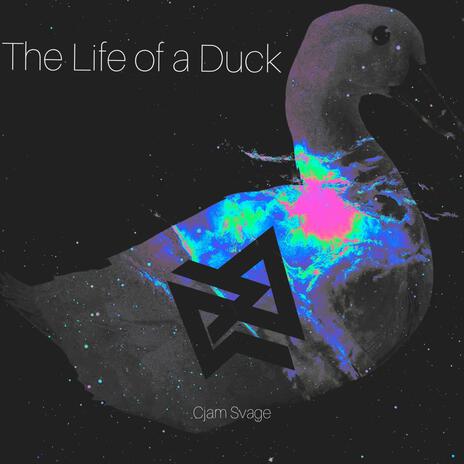 The Life of a Duck