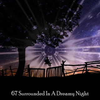 67 Surrounded In A Dreamy Night