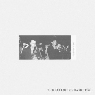 The Exploding Hamsters