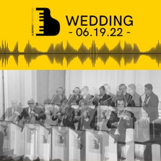 June 19 Wedding with Berko Brothers & Yedidim