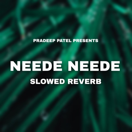 Neede Neede (Slowed + Reverb) | Boomplay Music