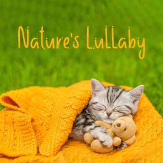 Nature's Lullaby: La mia piccola principessa che dorme, Madre Natura, Calma New Age, Suoni della pioggia, Raccolta dell'acqua