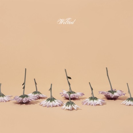 Wilted | Boomplay Music