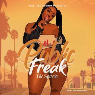 Public Freak lyrics | Boomplay Music