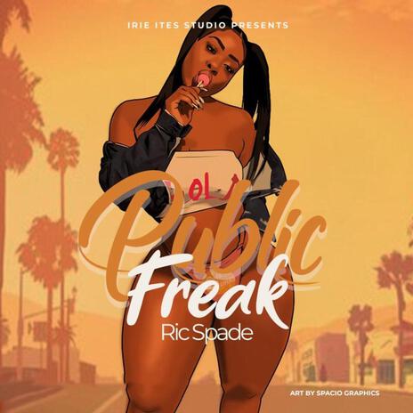 Public Freak | Boomplay Music