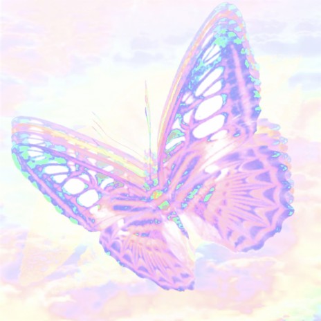 My Butterfly's Kiss