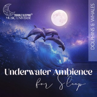 Underwater Ambience for Sleep: Dolphins & Whales – Relaxing Sounds of the Sea, Tranquil Ocean Waves, Dark Night of the Soul
