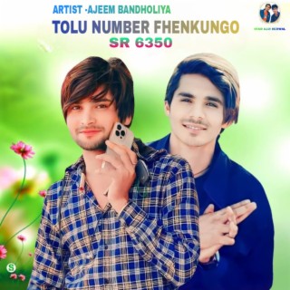 Tolu Number Fhenkungo (SR 6350)