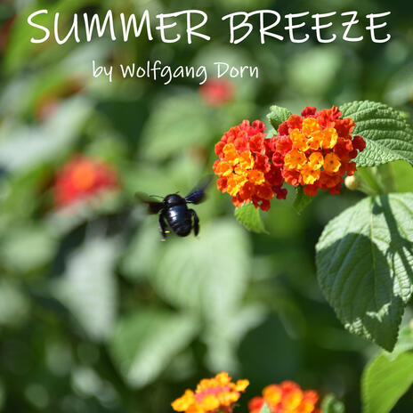 Summer Breeze | Boomplay Music