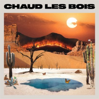 Chaud Les Bois lyrics | Boomplay Music