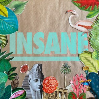 Insane (Single Master) lyrics | Boomplay Music