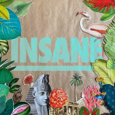 Insane (Single Master) | Boomplay Music