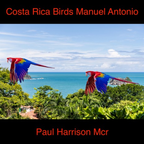 Costa Rica Birds nine | Boomplay Music