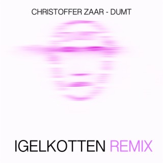 Dumt (Igelkotten remix)