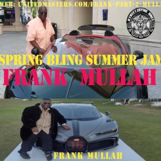 SPRING BLING SUMMER JAM (Radio Edit)