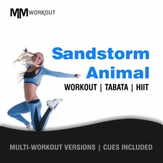 Sandstorm Animal, Workout Tabata HIIT (Mult-Versions, Cues Included)