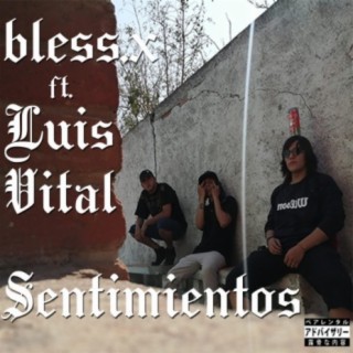 Sentimientos (feat. Luis Vital)