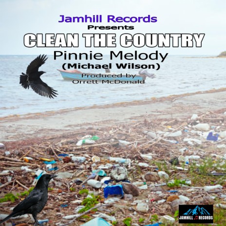 Clean The Country | Boomplay Music