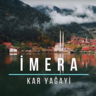 Kar Yağayi