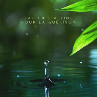 Eau cristalline pour la guérison: Musique de méditation zen