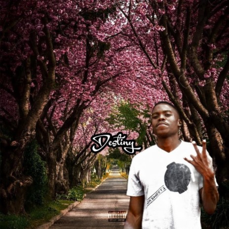 Destiny ft. Blacq Lee | Boomplay Music