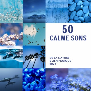 50 Calme sons de la nature & Zen musique 2022 - Détente et relaxation avec bruits de la nature et New Age, Bonne humeur, Clarifier idées, Se calmer, Se relaxer et tranquilliser (Yoga, Pilates, Qi gong)