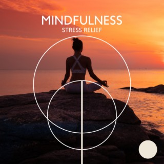 Mindfulness Stress Relief: Detox Negative Emotions & Chill Age Music for Healing Meditation