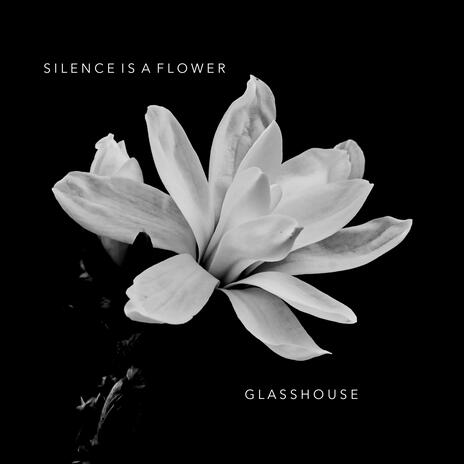 Silence is a Flower | Boomplay Music