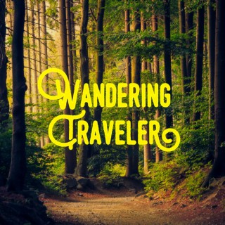 Wandering Traveler