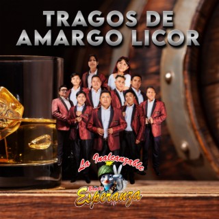 Tragos De Amargo Licor lyrics | Boomplay Music