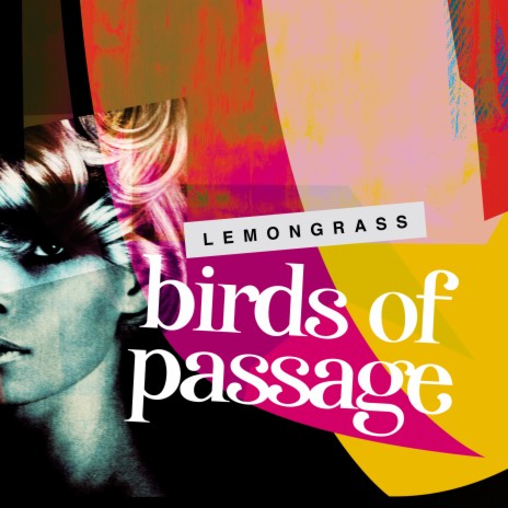 Birds of Passage | Boomplay Music