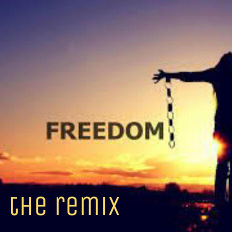 Freedom prt2 | Boomplay Music