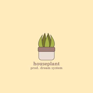 houseplant