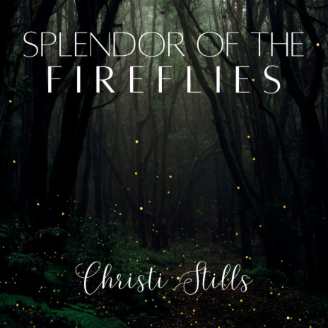 Splendor of the Fireflies | Boomplay Music