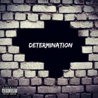 Determination