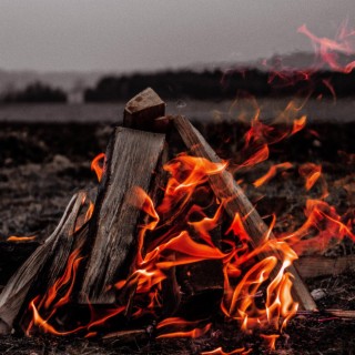 Burning Logs on a Fire