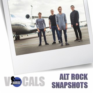 Alt Rock Snapshots