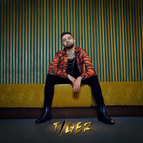 Tiger | Boomplay Music