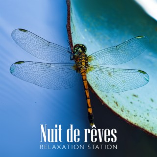 Nuit de rêves: Relaxation Station, Sounds for Brain Power, Active Mind