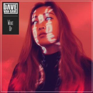 Dave van Rave