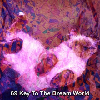 69 Key To The Dream World