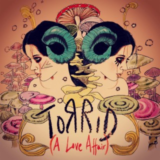 Torrid A Love Affair