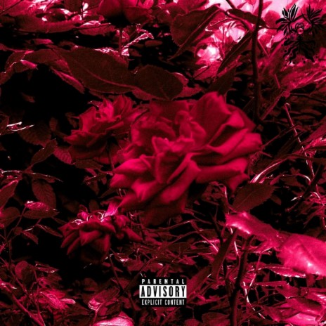 bleed out // roses | Boomplay Music