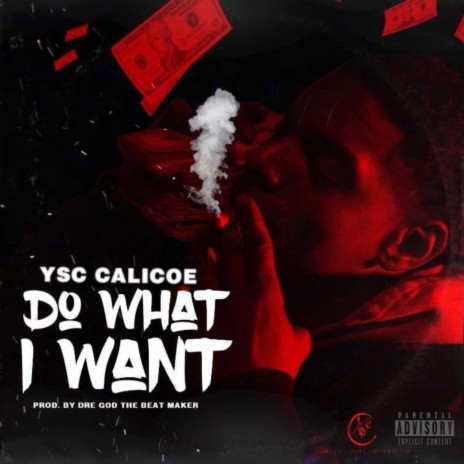 Do What I Want | Boomplay Music