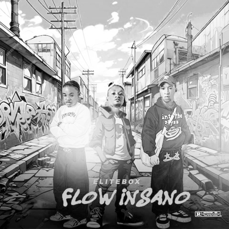 Flow Insano | Boomplay Music