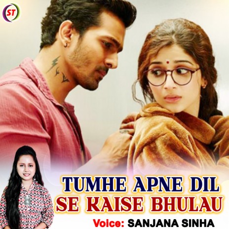 Tumhe Apne Dil Se Kaise Bhulau (Hindi) | Boomplay Music